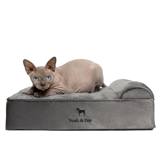 NOAH AND PAW LLC - Velvet Orthopedic Pet Bed, Memory Foam, Infused with Cooling Gel - Classic