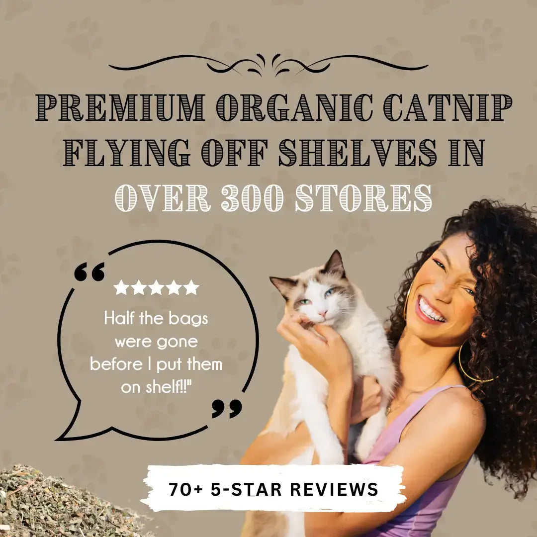 SHADY CAT SOCIAL CLUB - Catnip and Silver Vine Bean Bag | Cat Toy | Gift for Pets