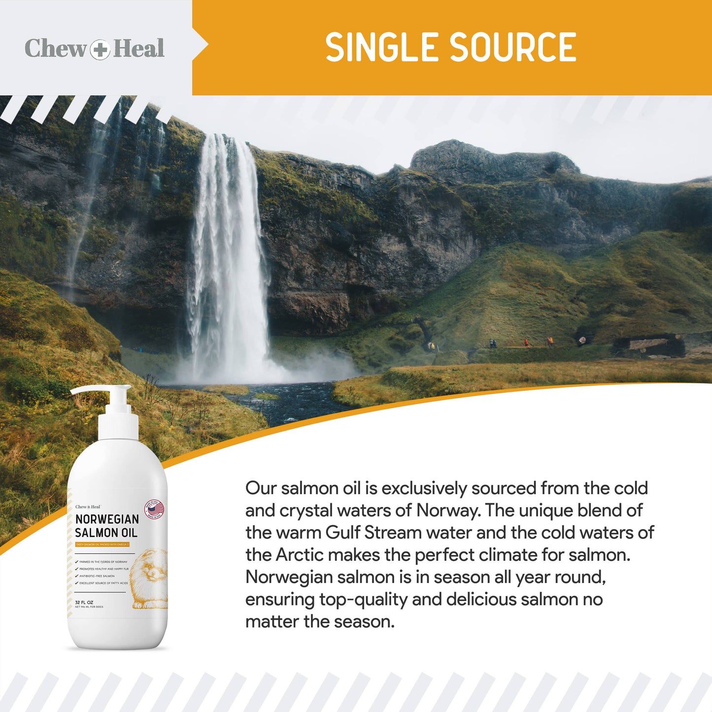 Chew + Heal - Norwegian Salmon Oil Skin & Coat Supplement for Dogs & Cats