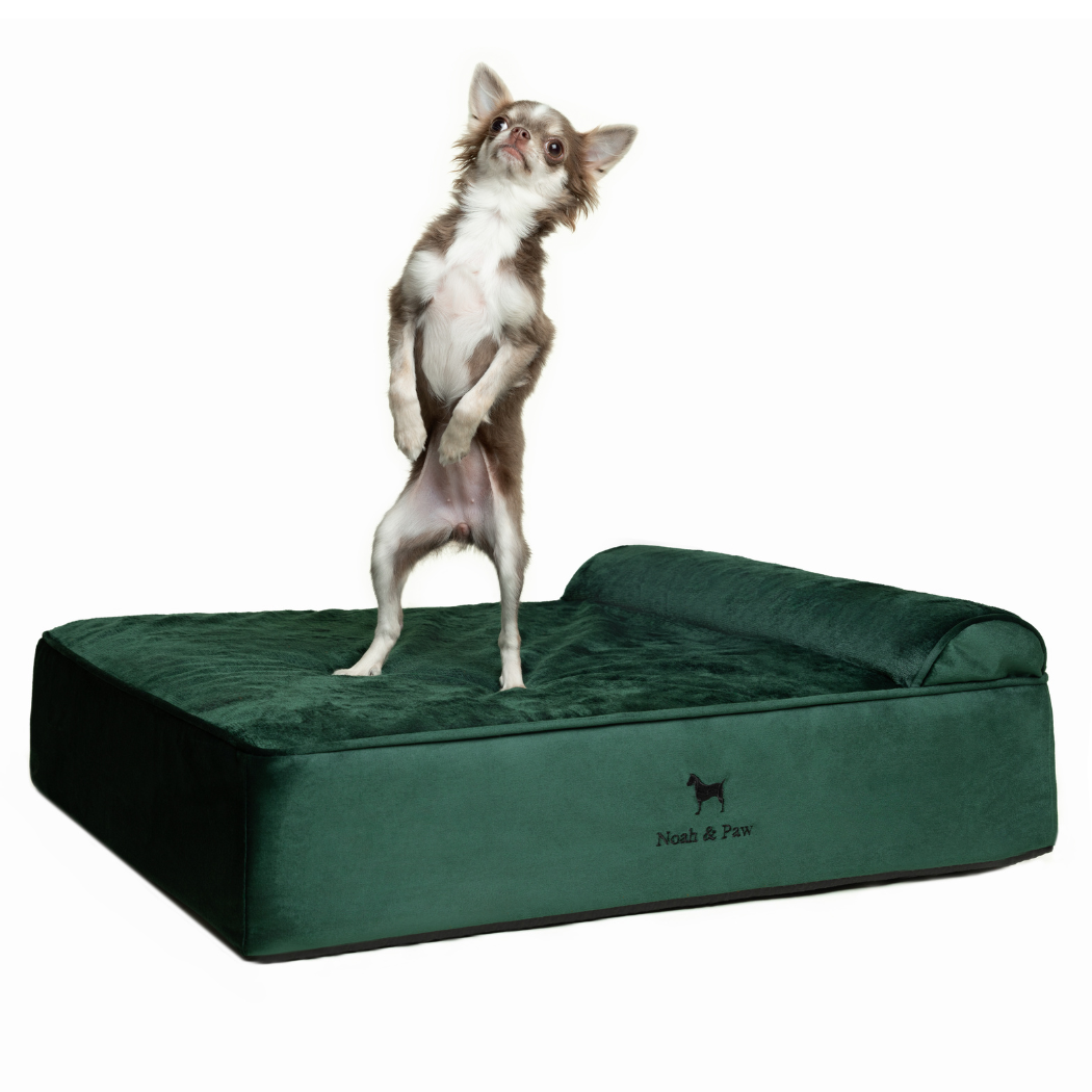 NOAH AND PAW LLC - Velvet Orthopedic Pet Bed, Memory Foam, Infused with Cooling Gel - Classic