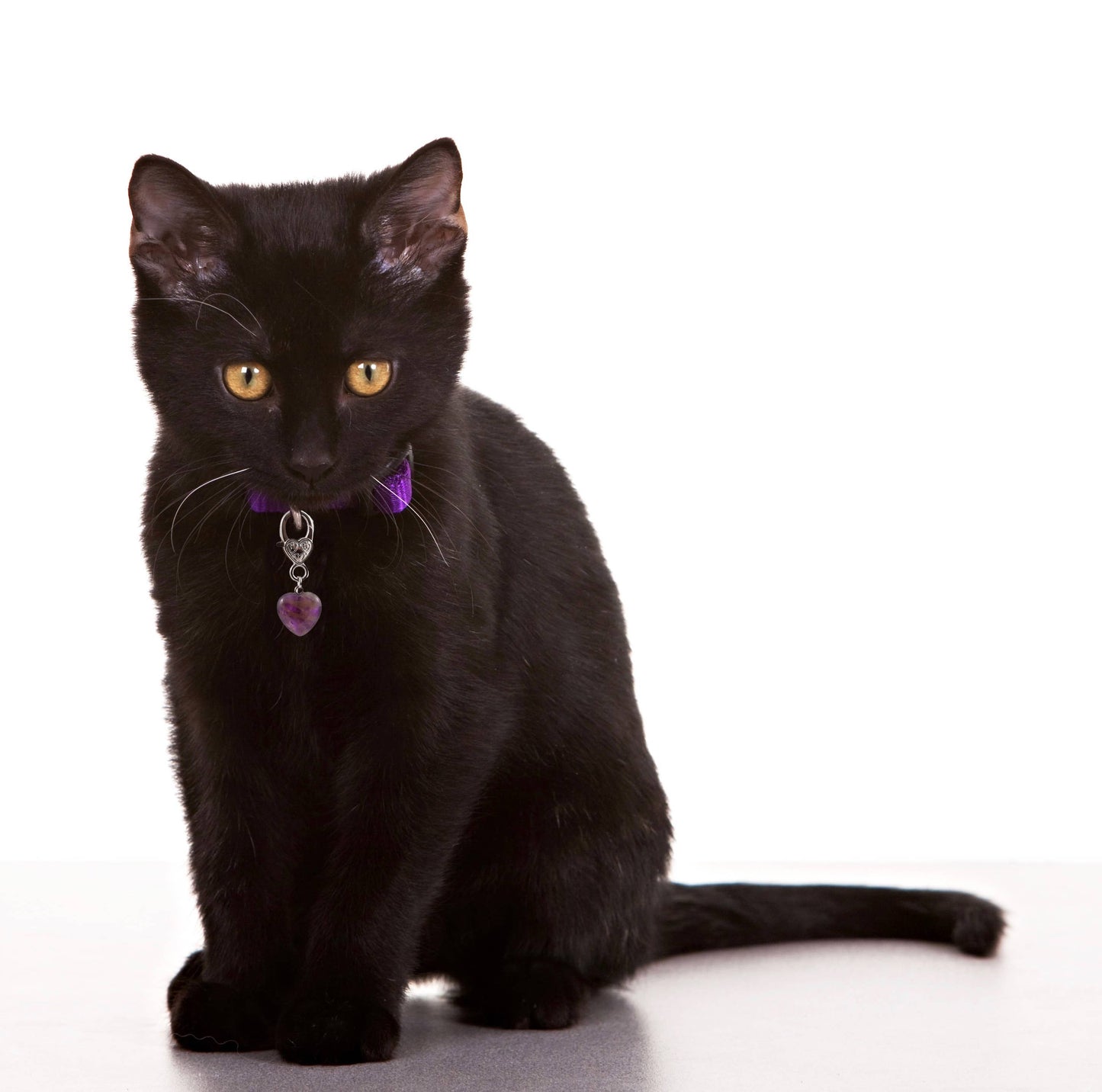 Crystal Pet Love - Protection Amethyst Healing Pet Pendant