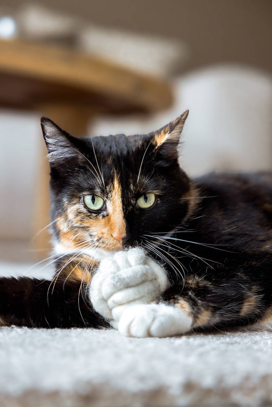 The Catery - Lobby cue ball