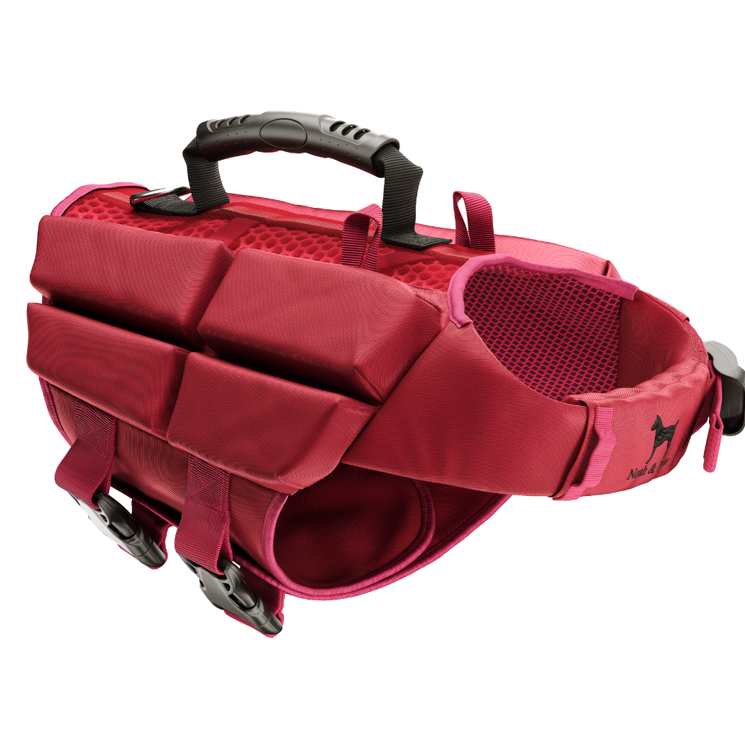 NOAH AND PAW LLC - Human Standards Dog Lifejacket Design with 4x Foam Support for Max Floating - Red