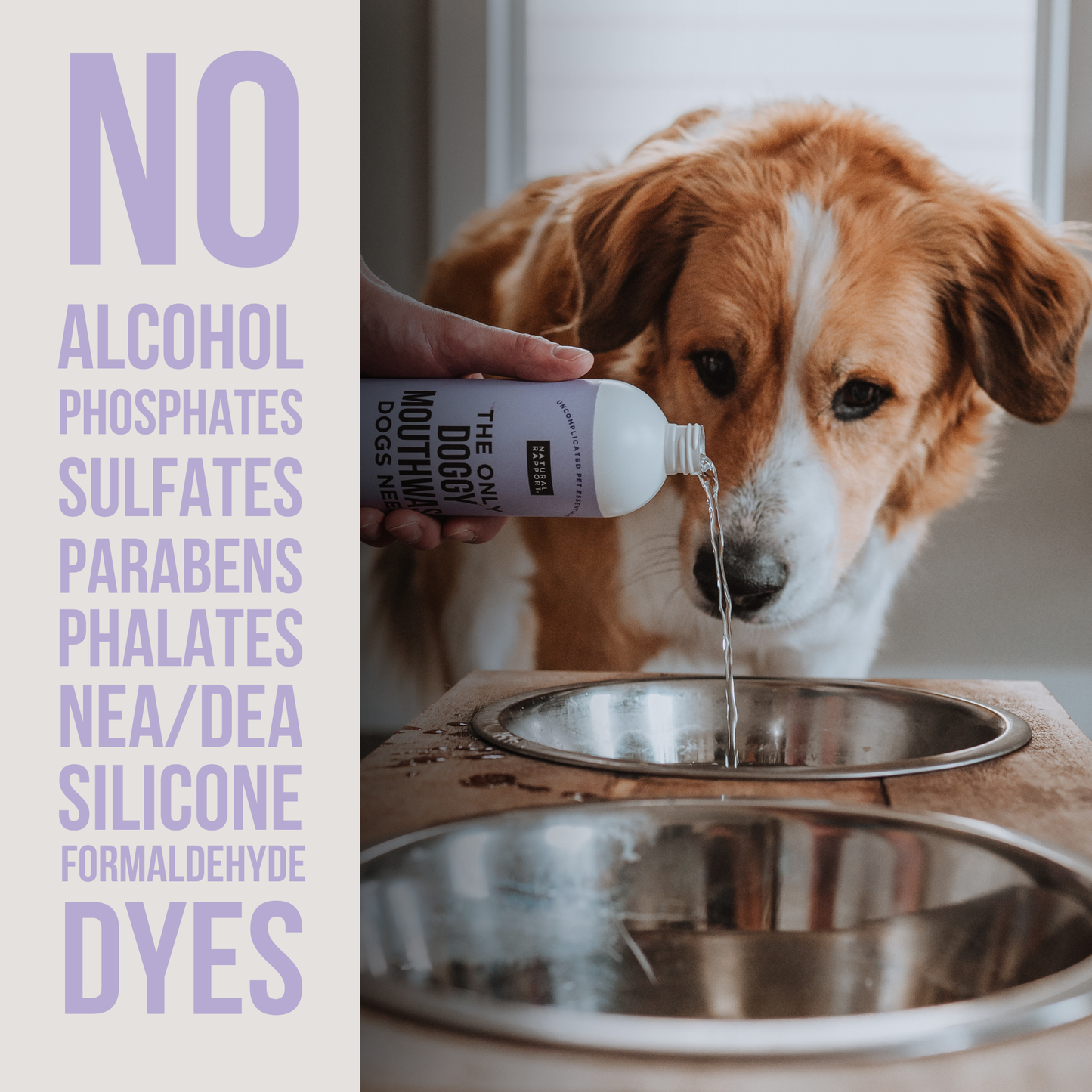 Natural Rapport - The Only Doggy Mouthwash Dogs Need