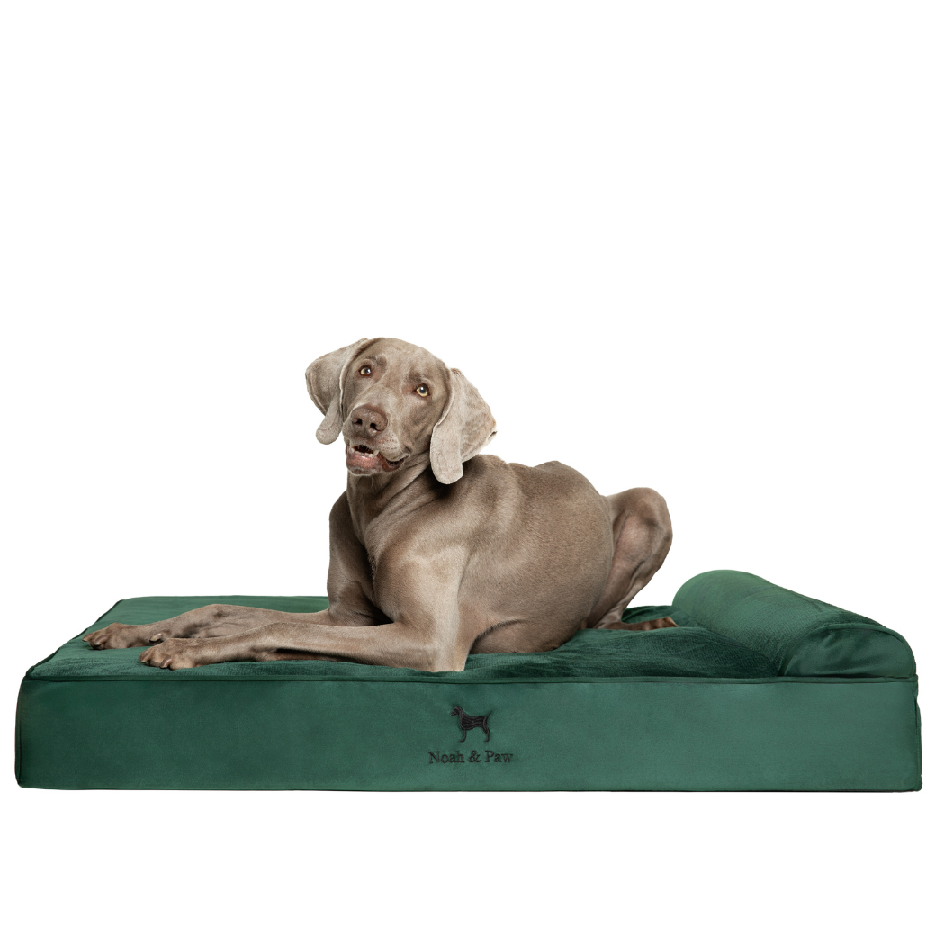 NOAH AND PAW LLC - Velvet Orthopedic Pet Bed, Memory Foam, Infused with Cooling Gel - Classic