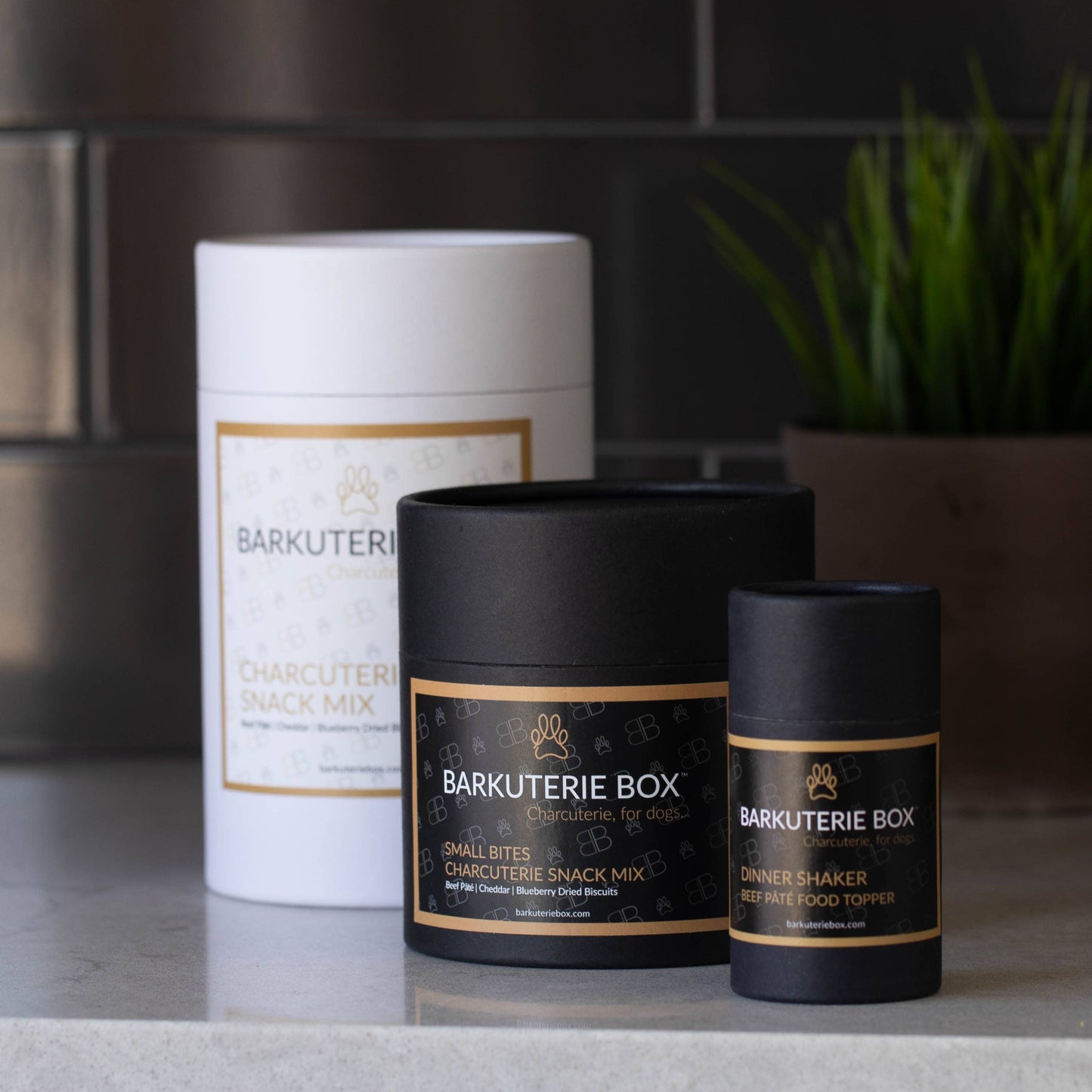 BARKUTERIE Box™ - Charcuterie/Barkcuterie Dog Treat Canisters