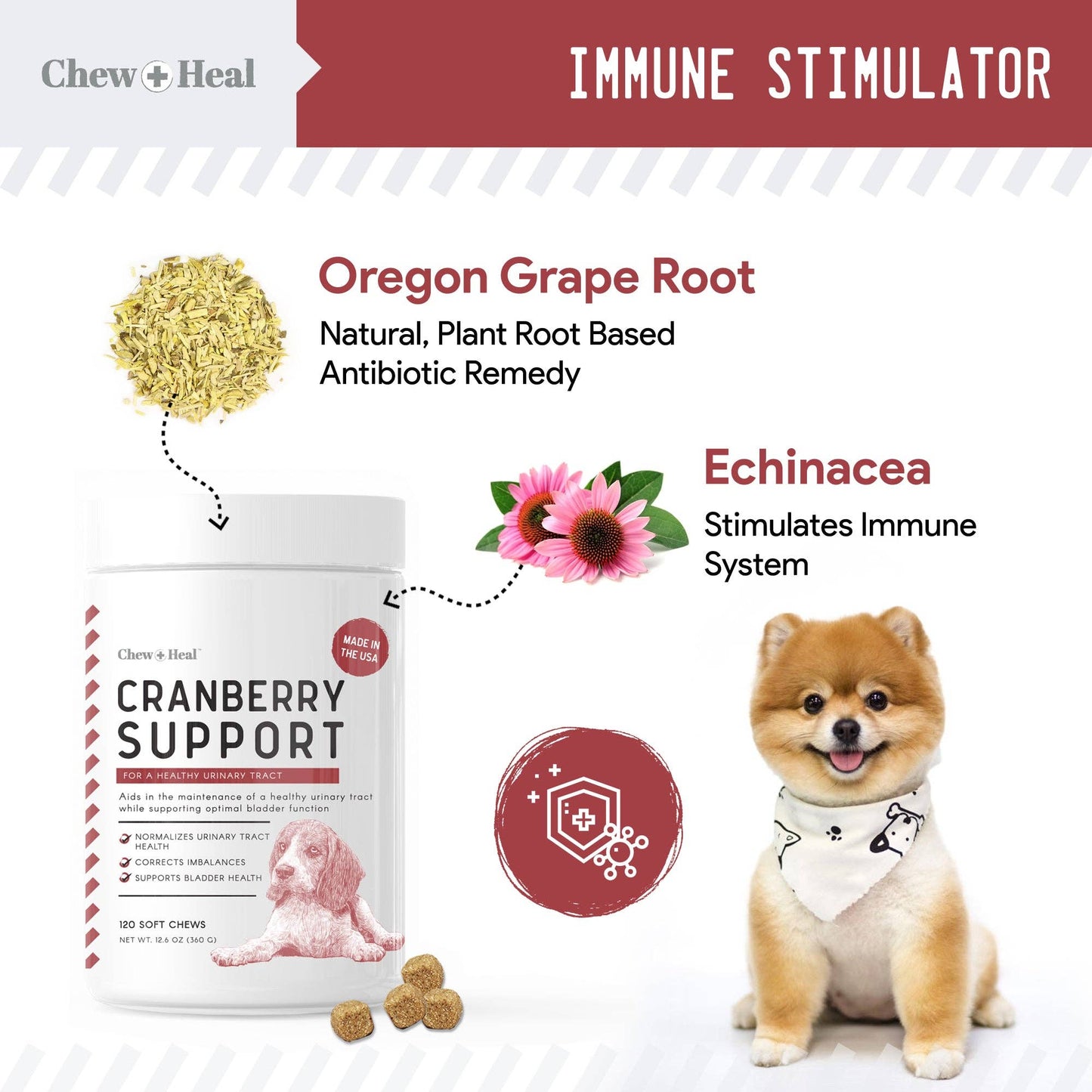Chew + Heal - UTI Treatment Cranberry Chews