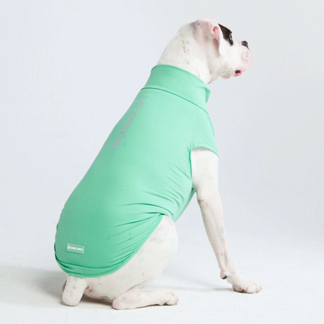 Spark Paws - Sunblock Dog T-Shirt - Mint