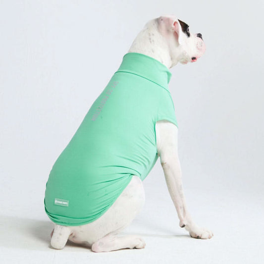 Spark Paws - Sunblock Dog T-Shirt - Mint