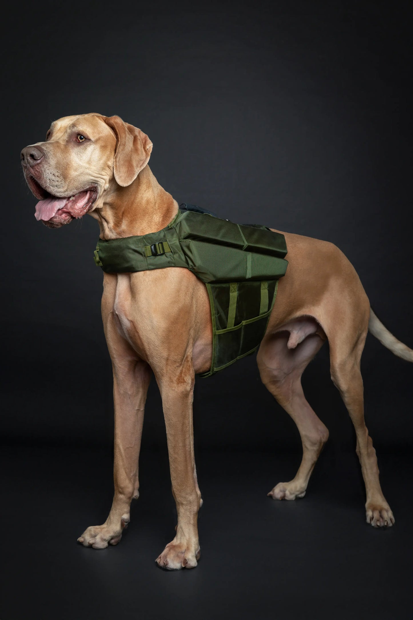 NOAH AND PAW LLC - Human Standards Dog Lifejacket Design with 4x Foam Support for Max Floating - Green