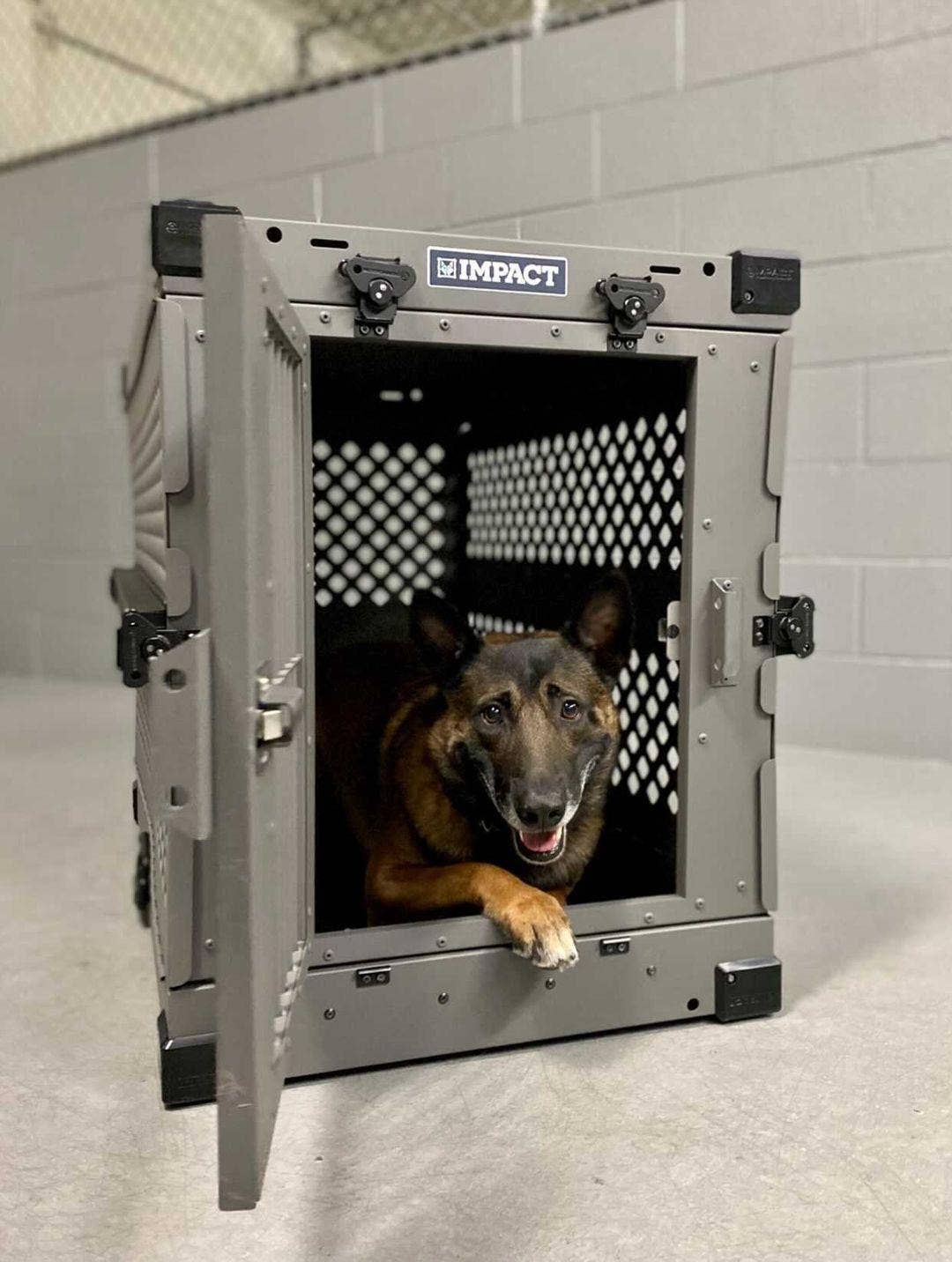 Fox + Hound - Fox + Hound Gator's Kennel Cleaner, crates, kennels 32 Ounce