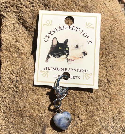 Crystal Pet Love - Sodalite heart immune support pendant