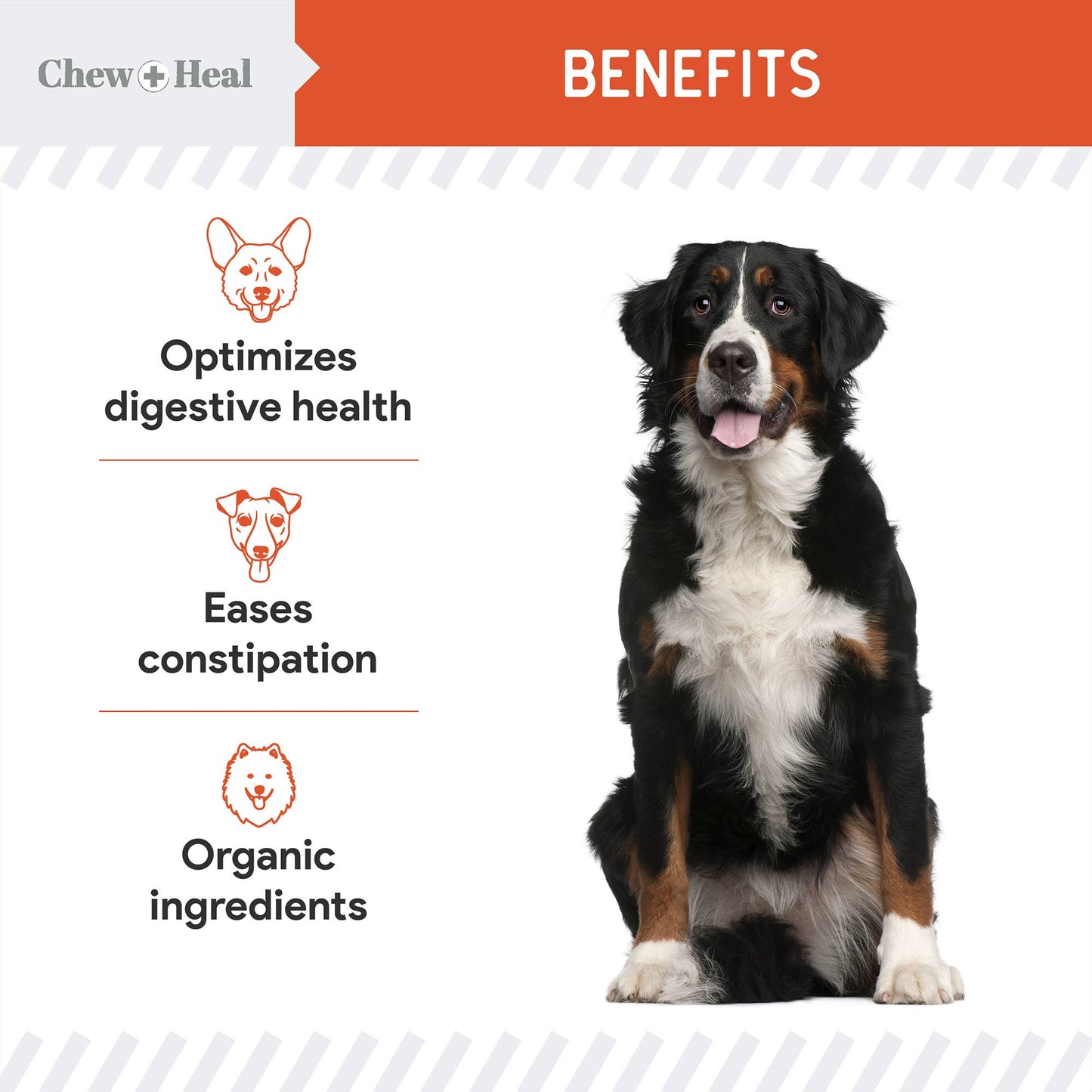 Chew + Heal - Organic Pumpkin Powder Blend, Digestive Defense for Dogs