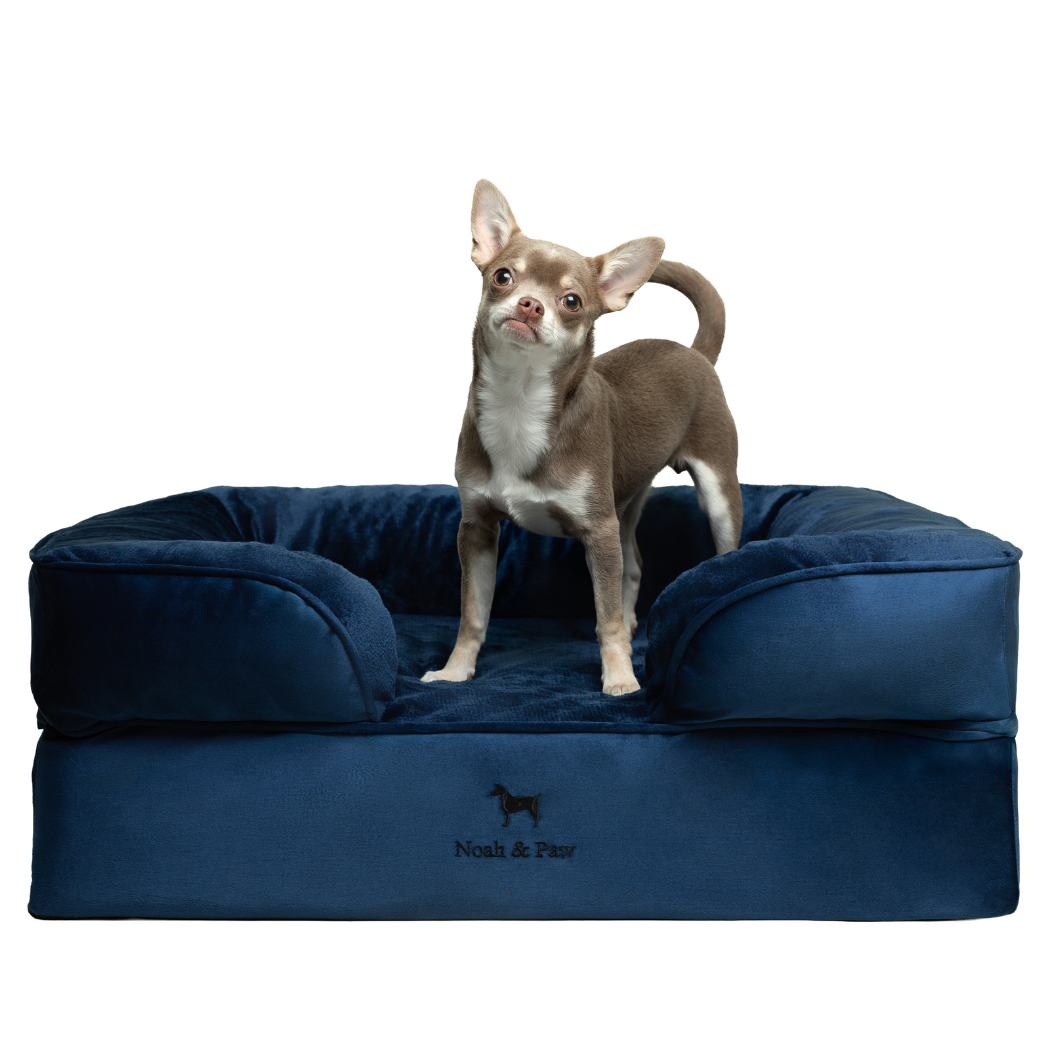 NOAH AND PAW LLC - Velvet Orthopedic Pet Bed, Memory Foam, Infused with Cooling Gel
