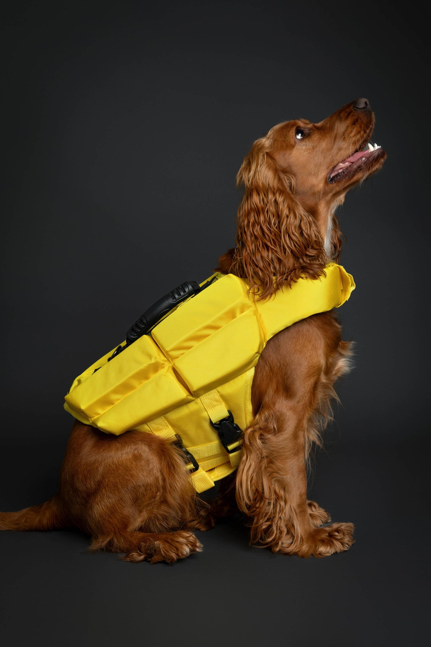 NOAH AND PAW LLC - Human Standards Dog Lifejacket Design with 4x Foam Support for Max Floating - Yellow