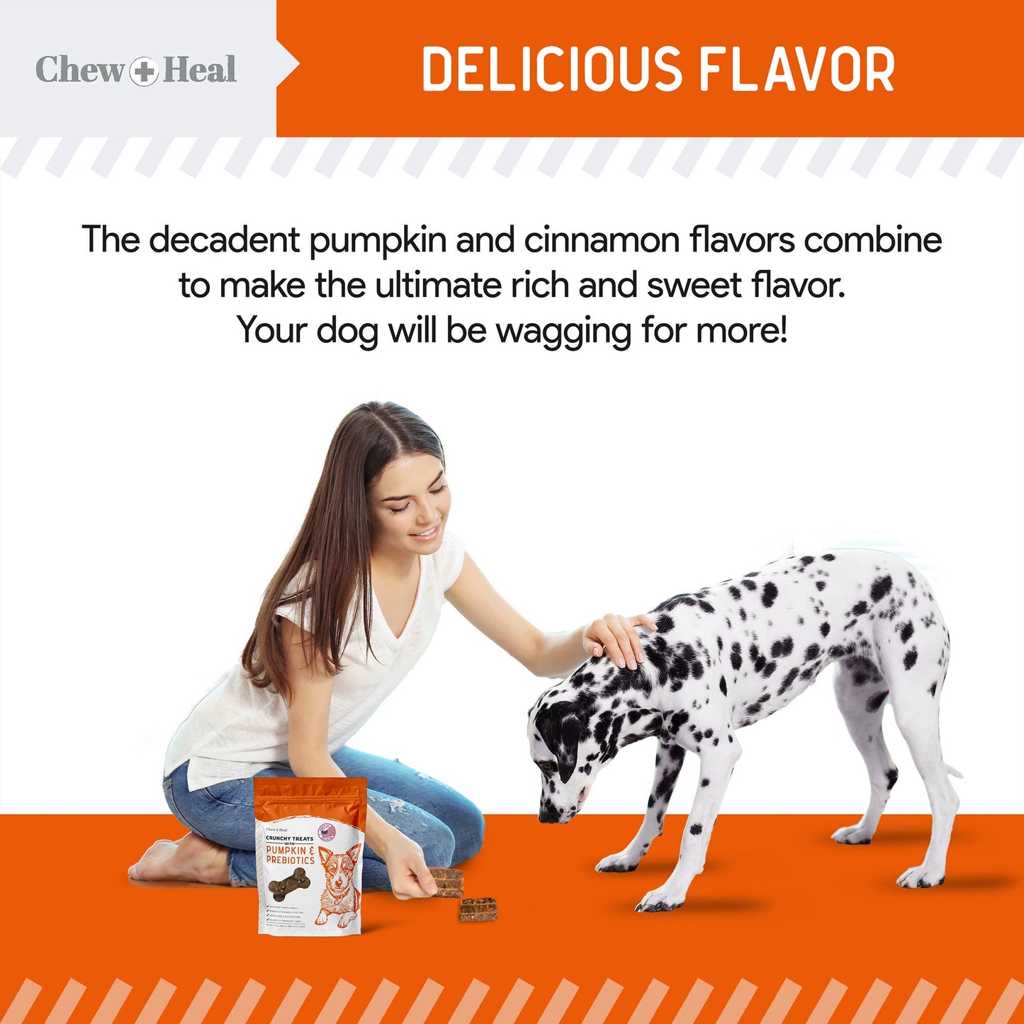 Chew + Heal - Crunchy Treats with Pumpkin & Probiotics for Dogs
