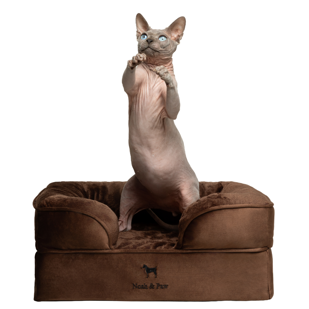 NOAH AND PAW LLC - Velvet Orthopedic Pet Bed, Memory Foam, Infused with Cooling Gel