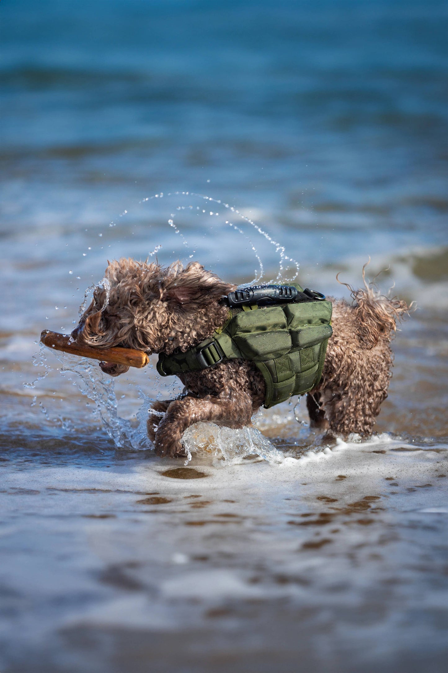 NOAH AND PAW LLC - Human Standards Dog Lifejacket Design with 4x Foam Support for Max Floating - Green