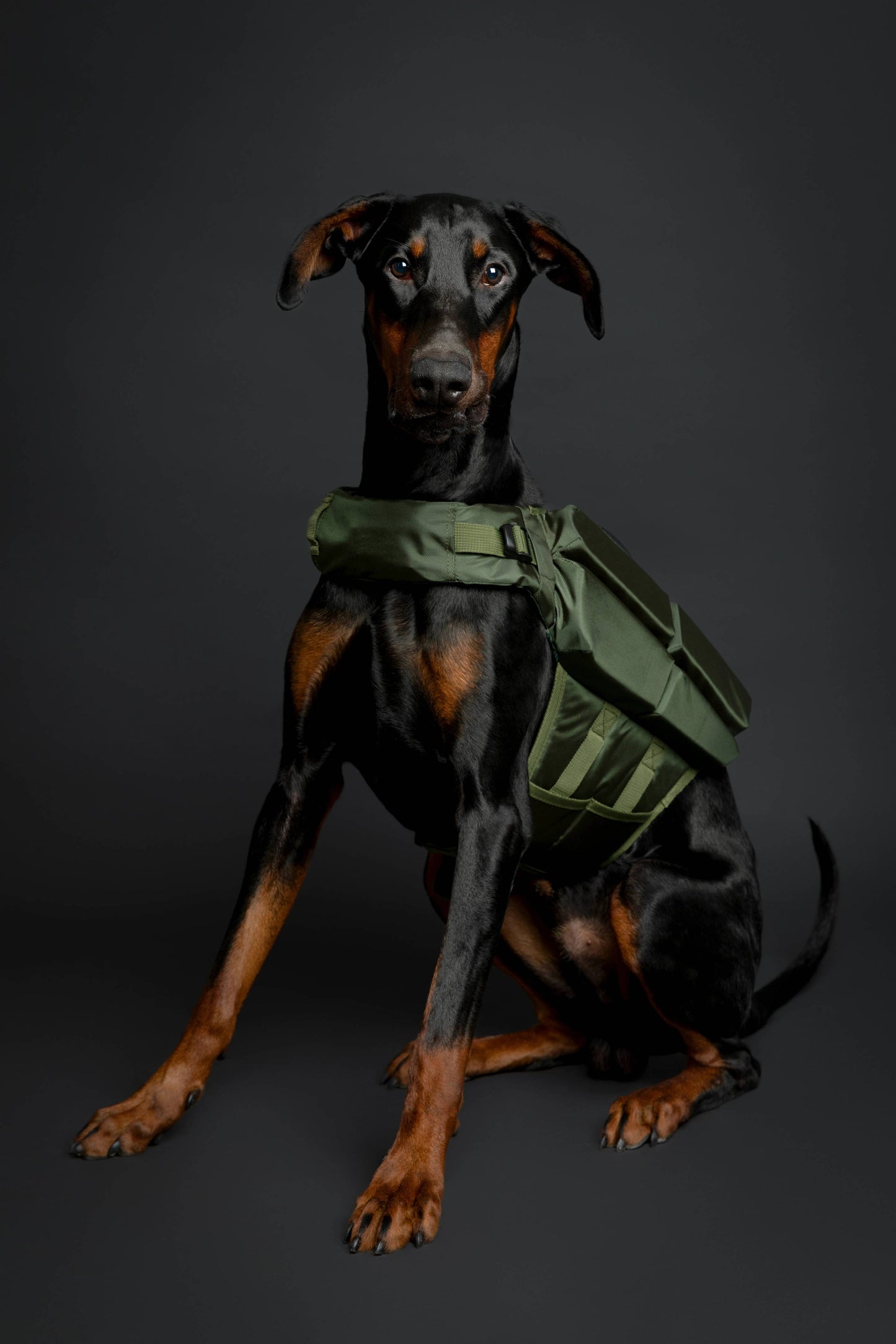 NOAH AND PAW LLC - Human Standards Dog Lifejacket Design with 4x Foam Support for Max Floating - Green