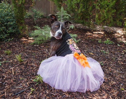 House of FurBaby - Halloween Dog  Costume | Coquette Pumpkin Tee + Tutu