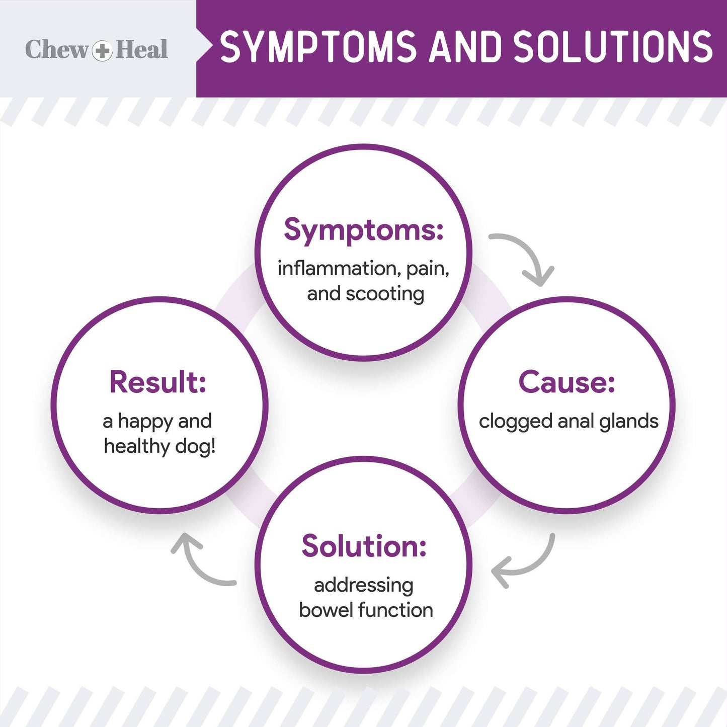 Chew + Heal - Chew + Heal Stop the Scoot Anal Gland & Bowel Support