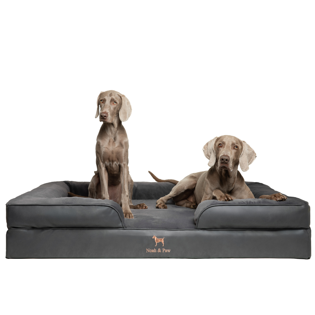 NOAH AND PAW LLC - Faux Leather, Orthopedic Pet Bed, Eggshell Memory Foam, Infused with Cooling Gel, Sofa Style