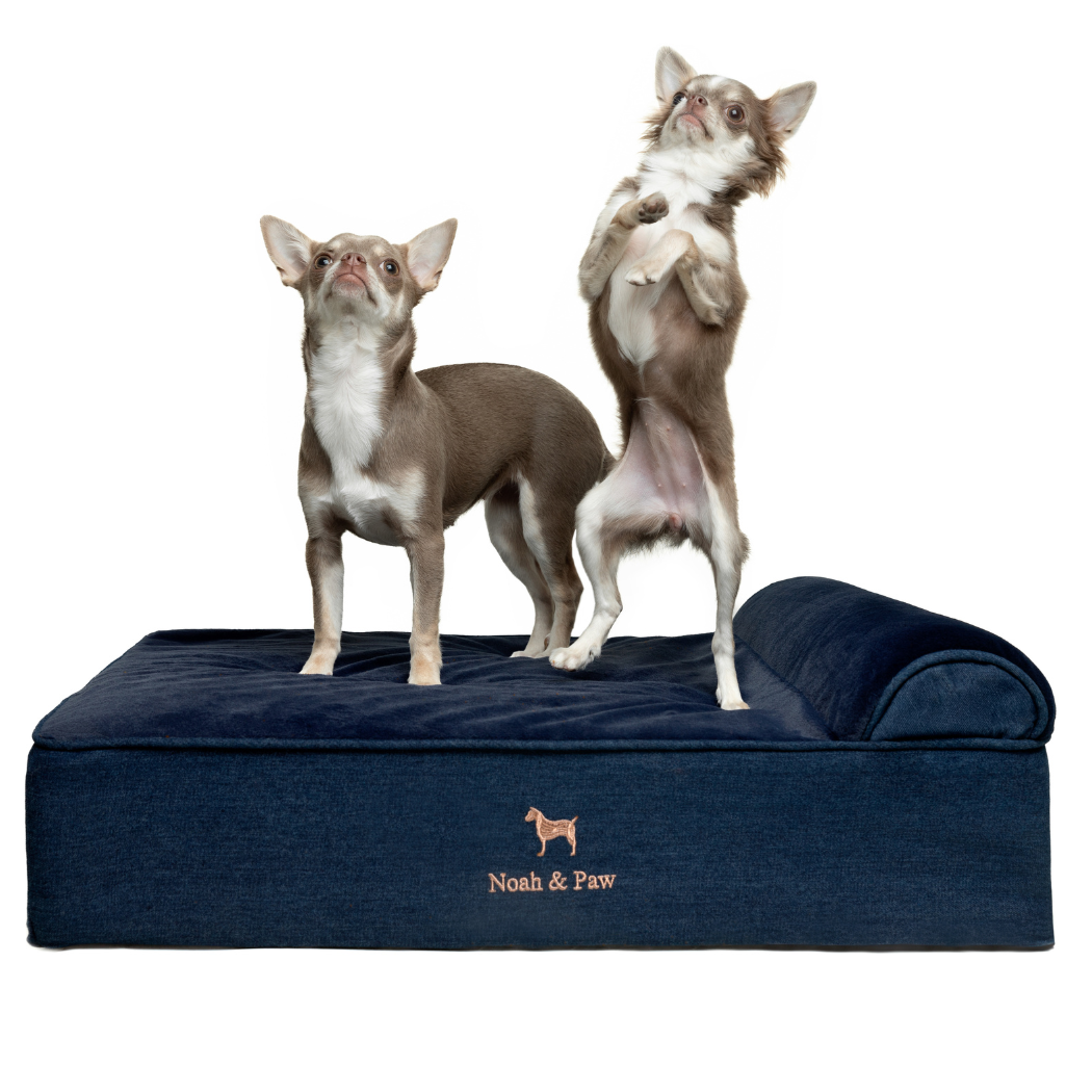 NOAH AND PAW LLC - Denim Orthopedic Pet Bed, Memory Foam, Infused with Cooling Gel - Classic