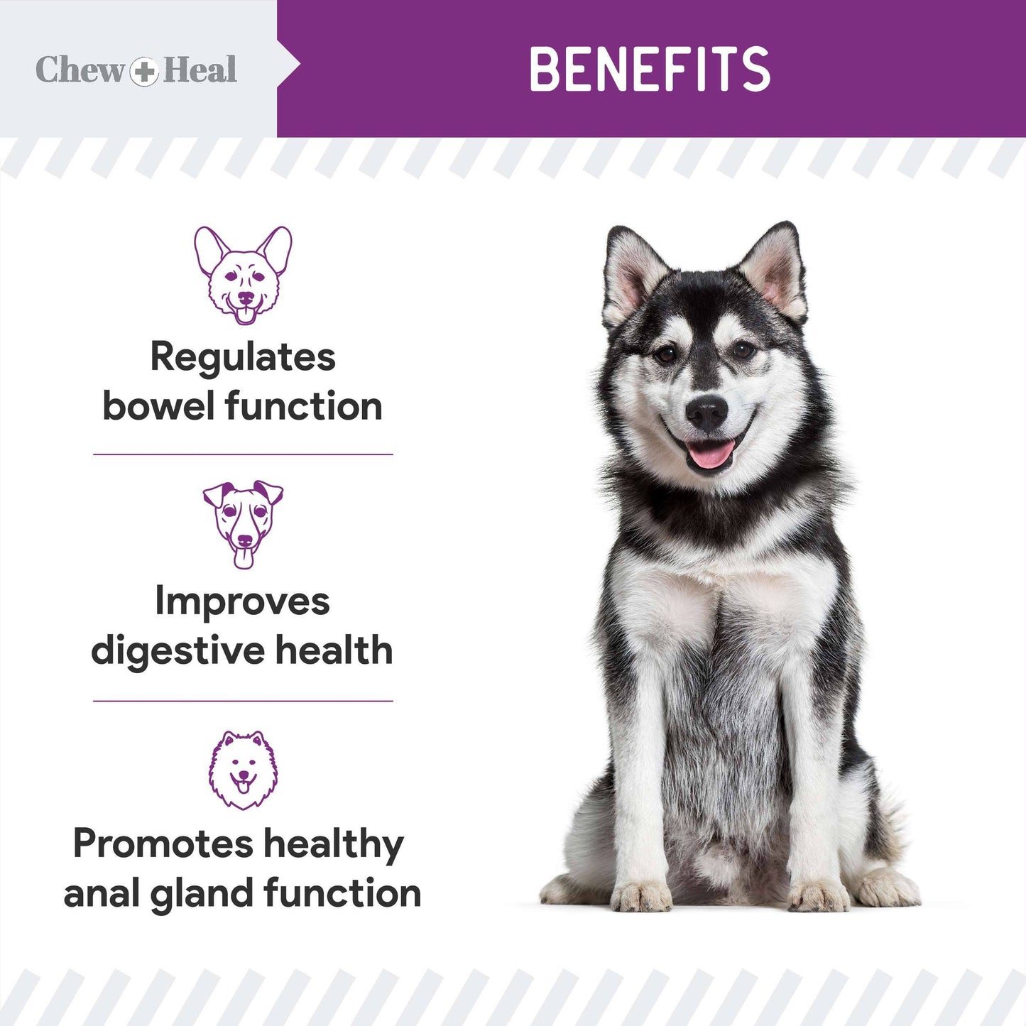 Chew + Heal - Chew + Heal Stop the Scoot Anal Gland & Bowel Support