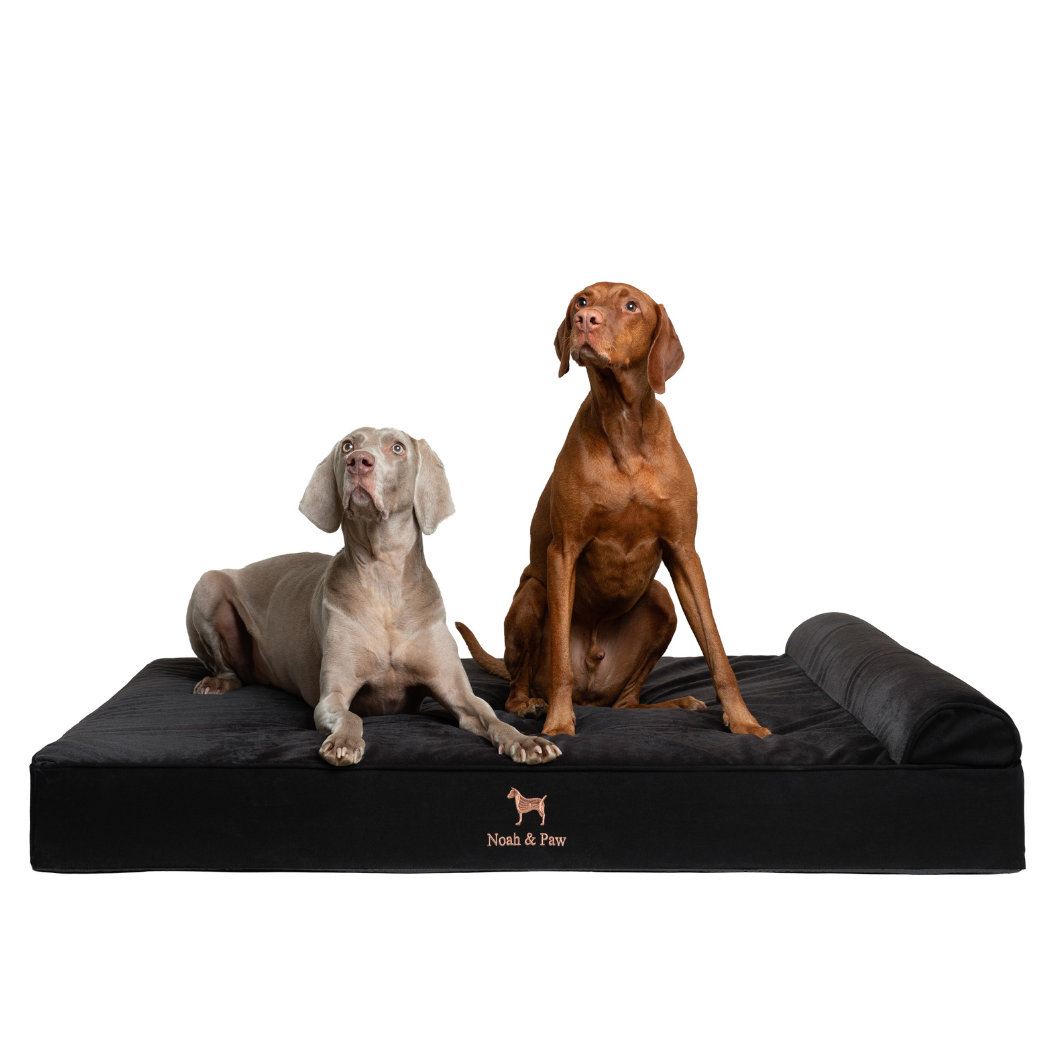 NOAH AND PAW LLC - Denim Orthopedic Pet Bed, Memory Foam, Infused with Cooling Gel - Classic