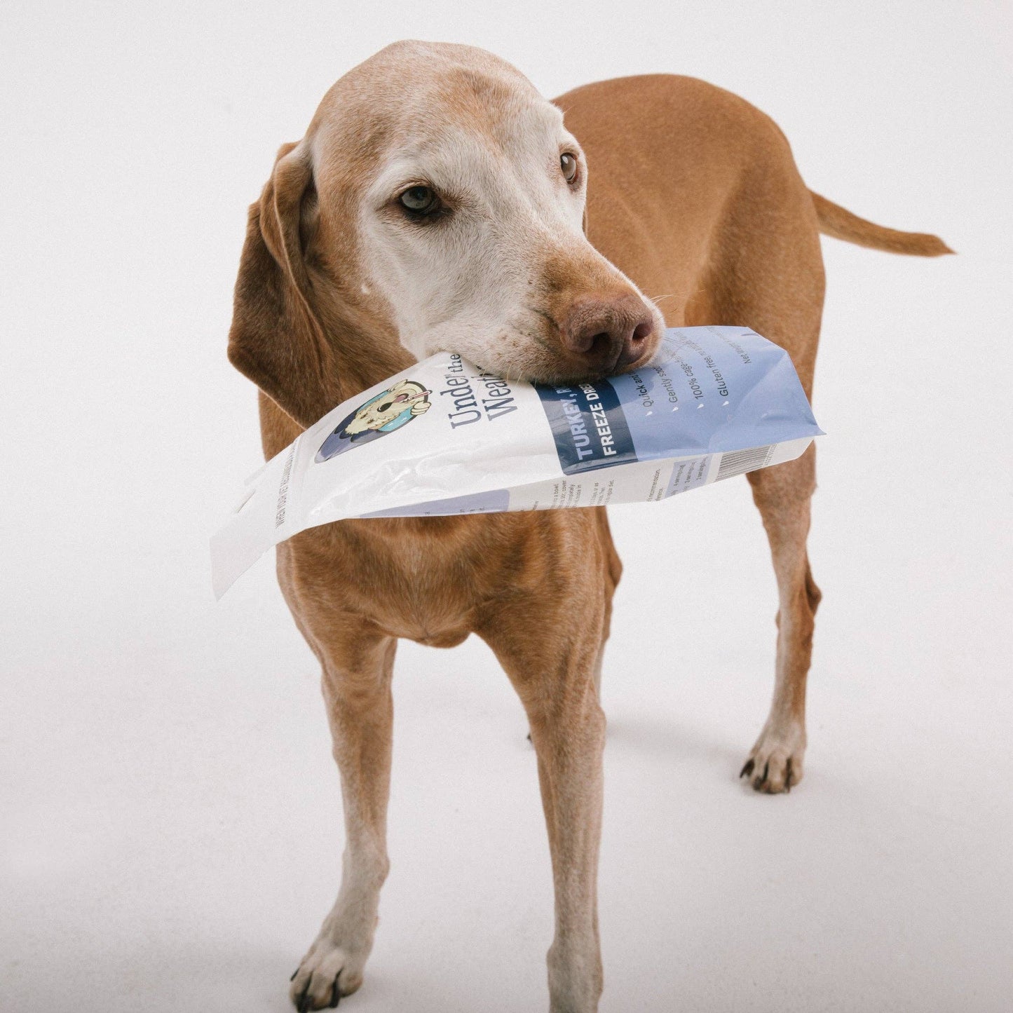 Under the Weather Pet - Turkey, Rice, & Sweet Potato Bland Diet For Dogs