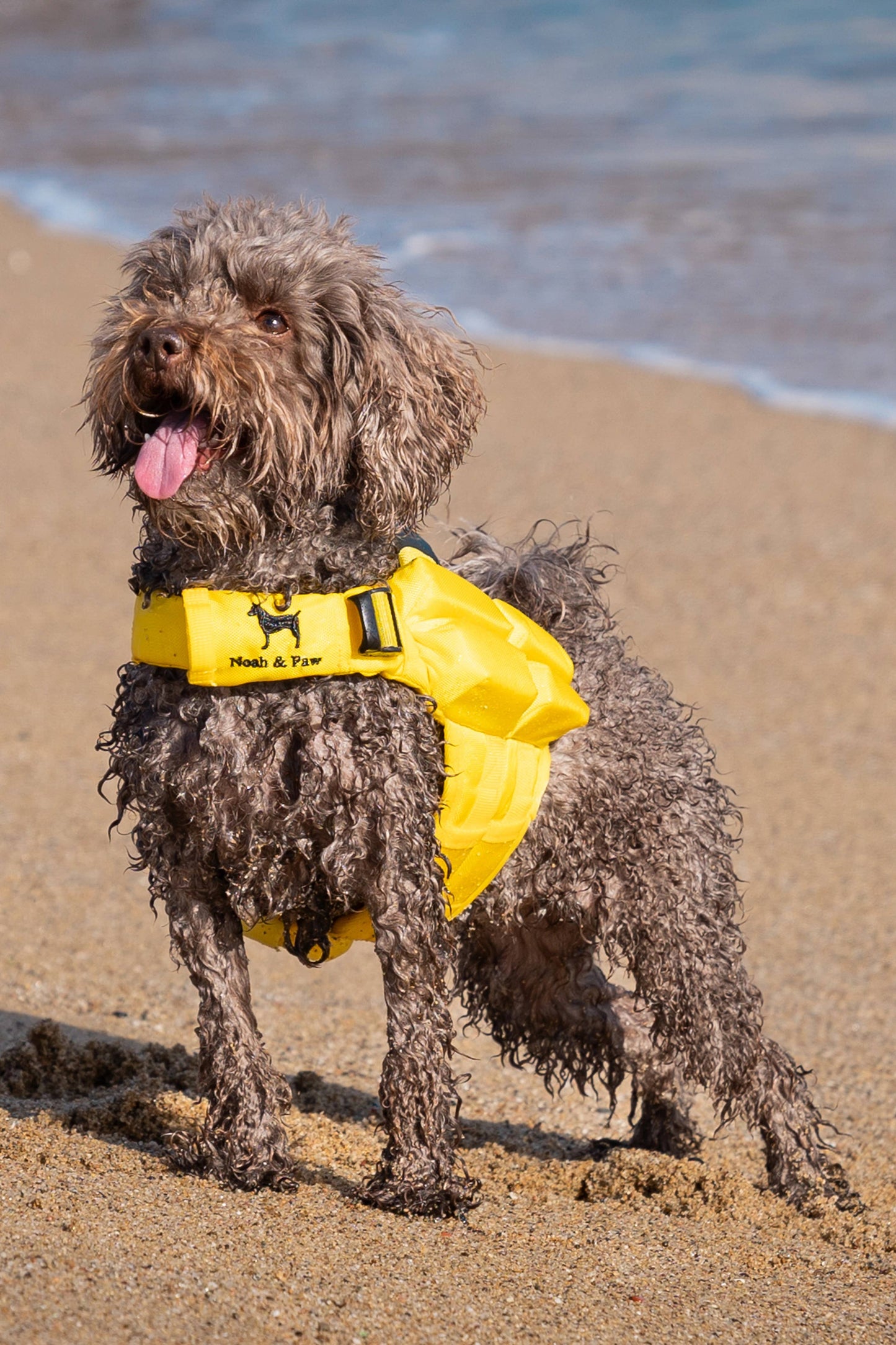 NOAH AND PAW LLC - Human Standards Dog Lifejacket Design with 4x Foam Support for Max Floating - Yellow
