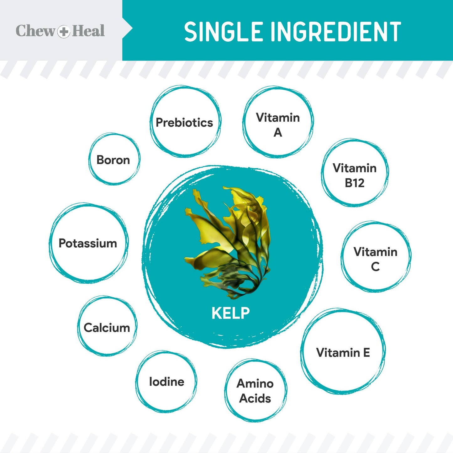 Chew + Heal - Organic Kelp Granules Marine Superfood Powder with Spoon