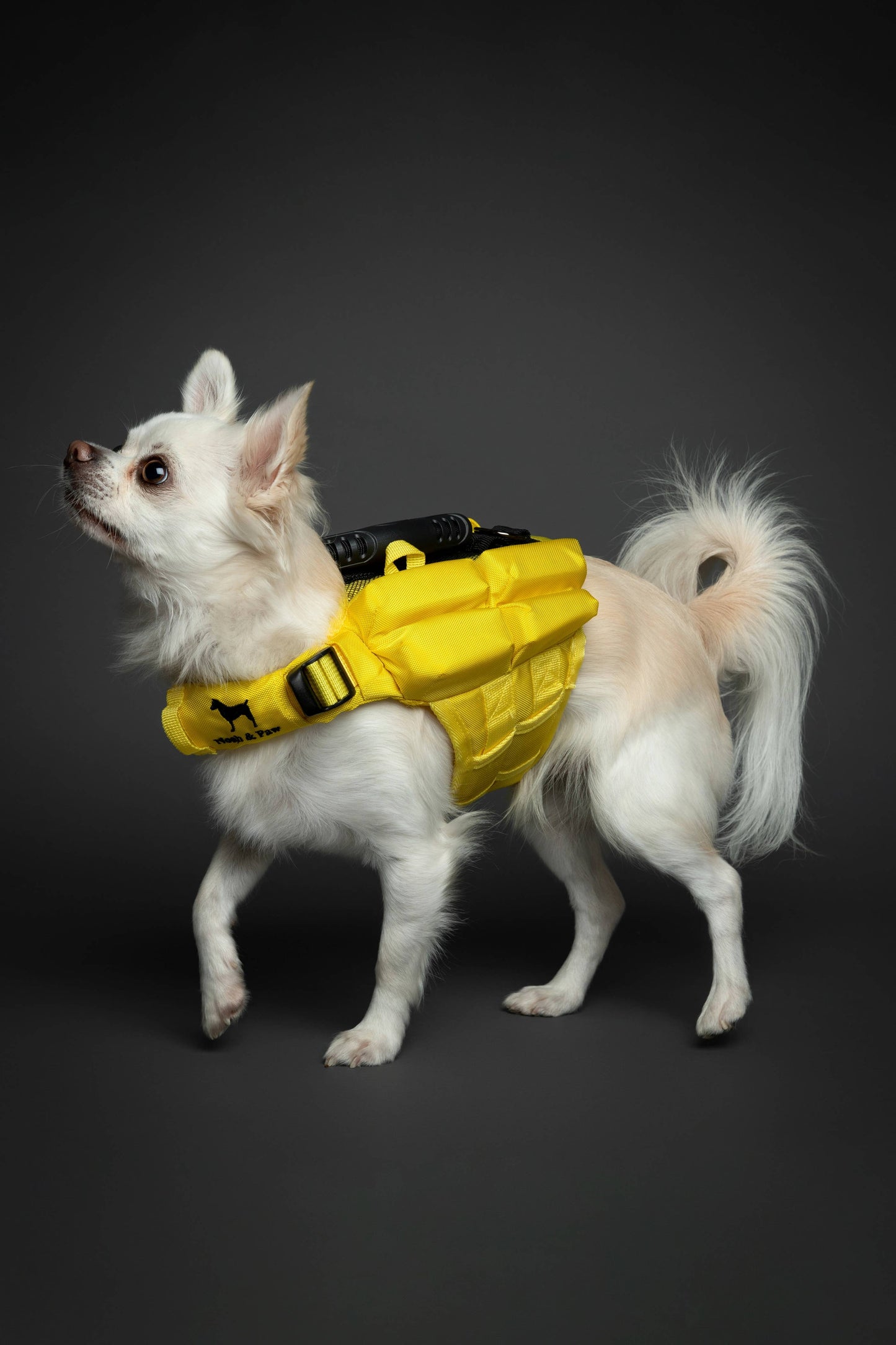 NOAH AND PAW LLC - Human Standards Dog Lifejacket Design with 4x Foam Support for Max Floating - Yellow