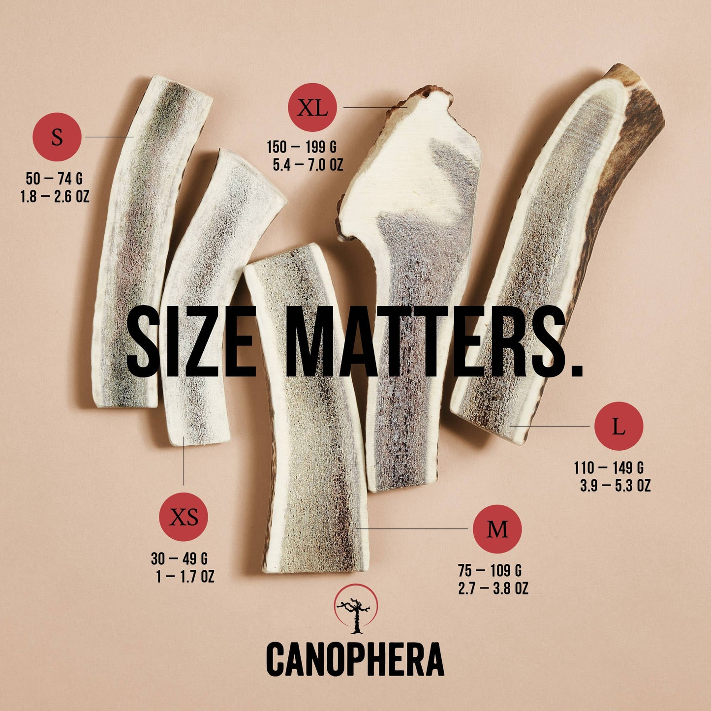 CANOPHERA LLC Red Deer Split Antlers