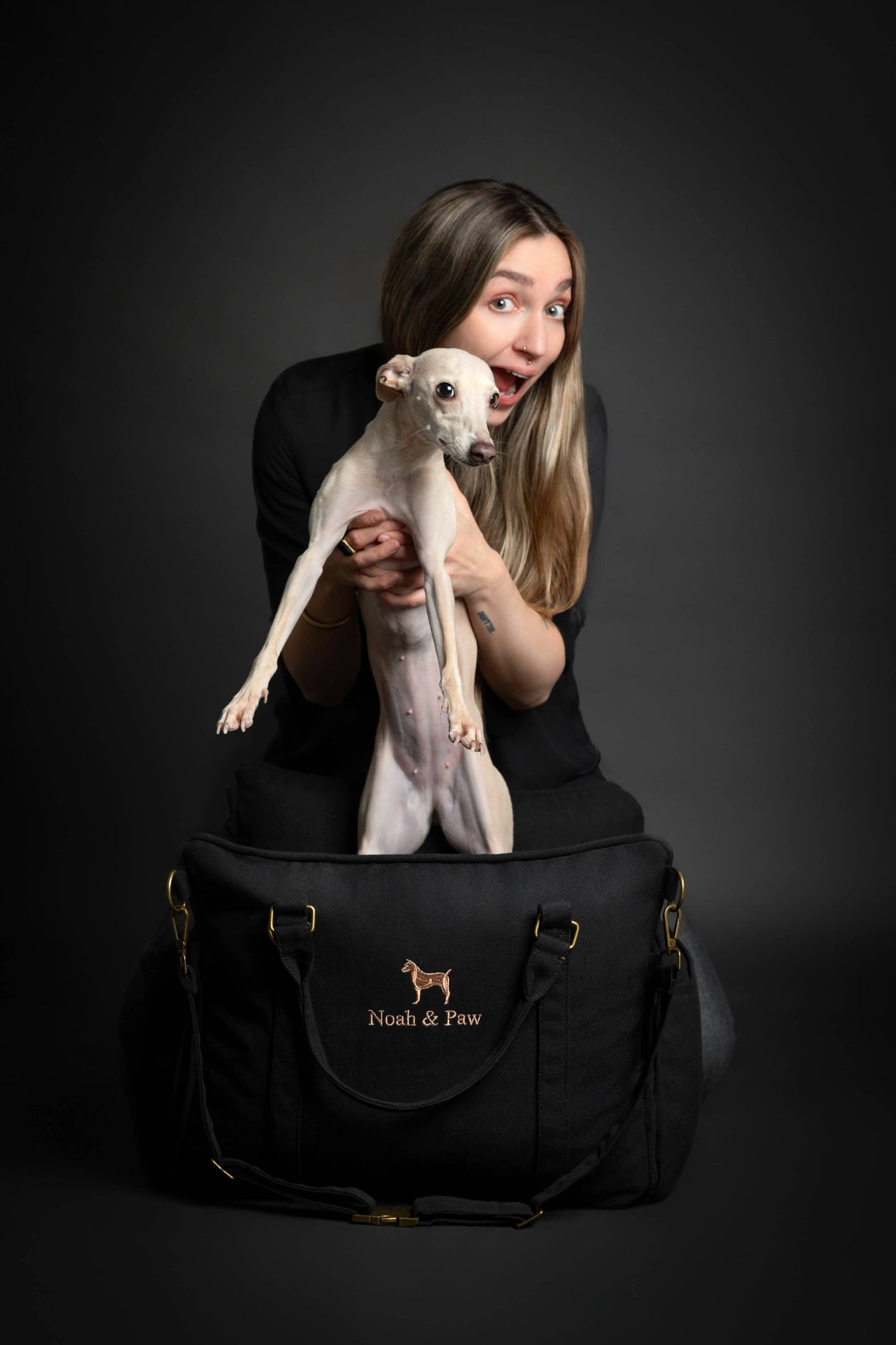 NOAH AND PAW LLC - Dog Car Seat Carrier Orthopedic Crushed Foam, Black, Canvas