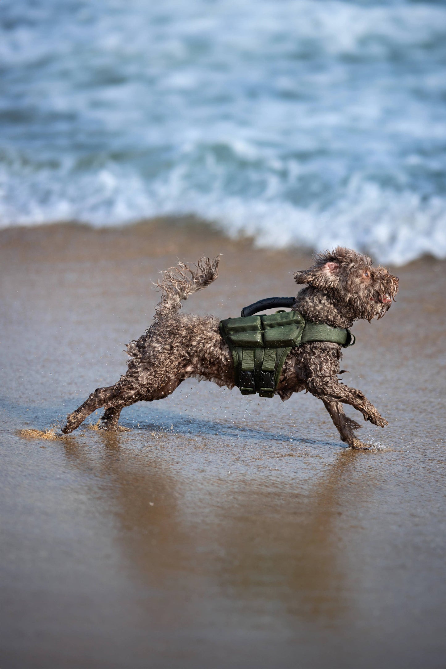 NOAH AND PAW LLC - Human Standards Dog Lifejacket Design with 4x Foam Support for Max Floating - Green