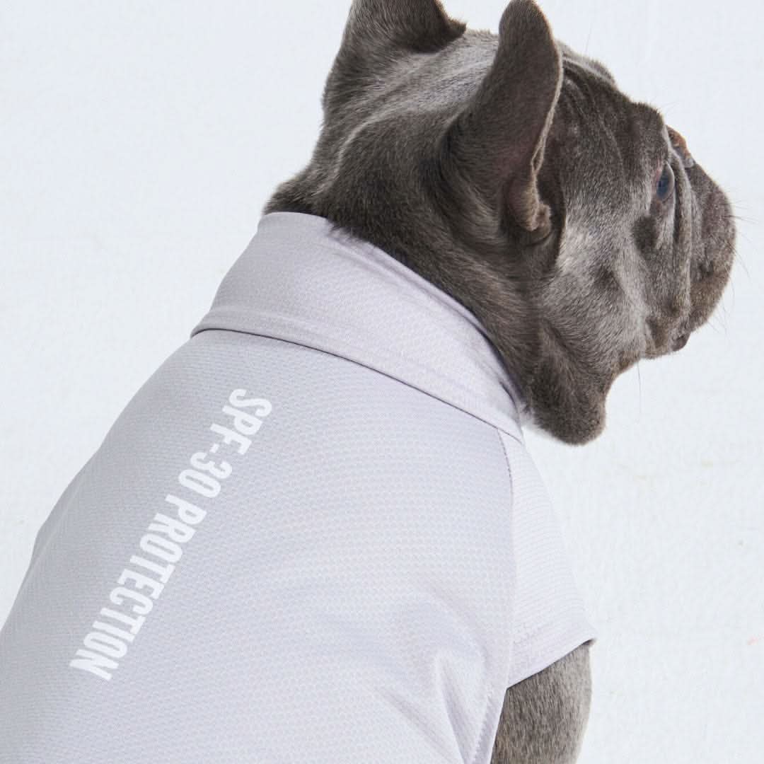 Spark Paws - Sunblock Dog T-Shirt - Grey