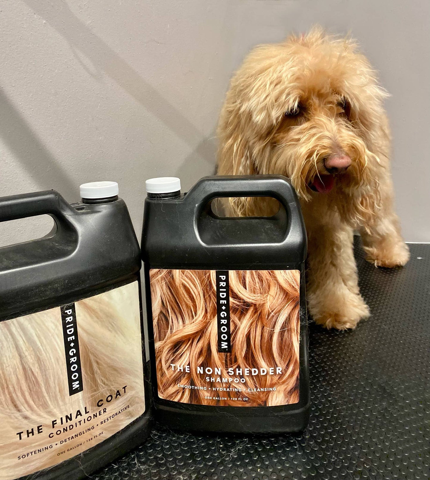 PRIDE+GROOM - GALLON SAMPLE PACK SPECIAL