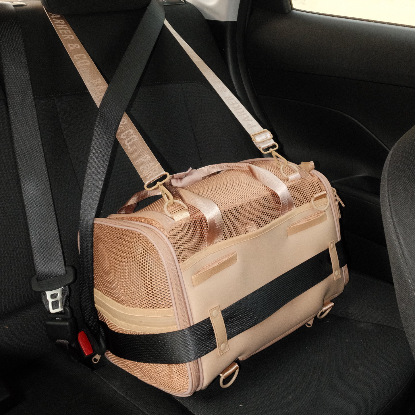 Parker & Co. - Airline Approved Travel Pet Carrier