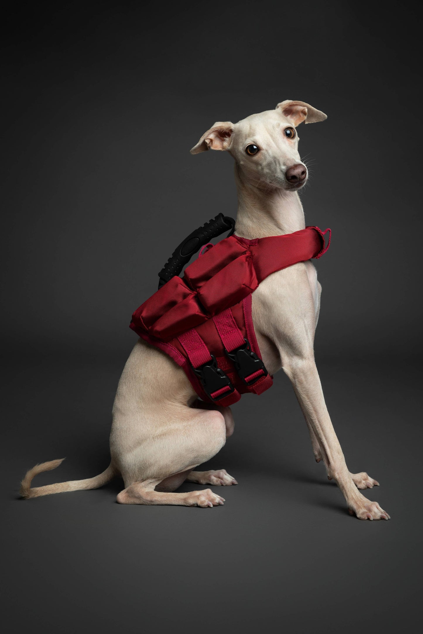 NOAH AND PAW LLC - Human Standards Dog Lifejacket Design with 4x Foam Support for Max Floating - Red