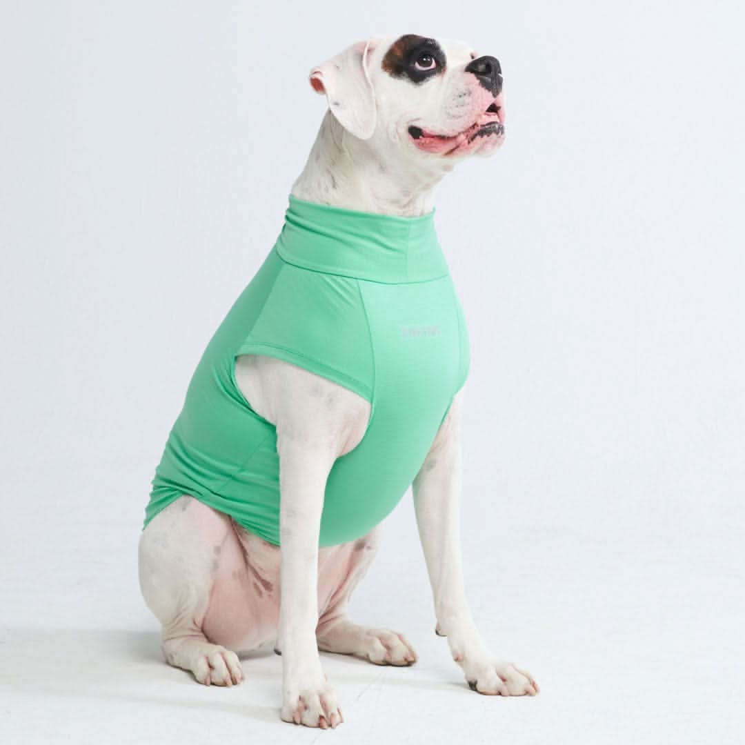Spark Paws - Sunblock Dog T-Shirt - Mint