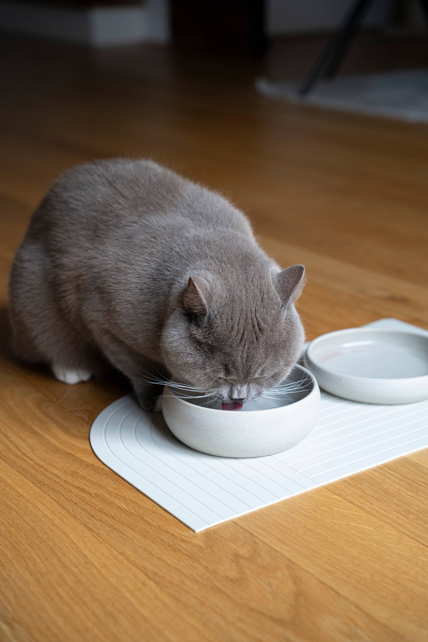 The Catery - Gourmet food bowl cream