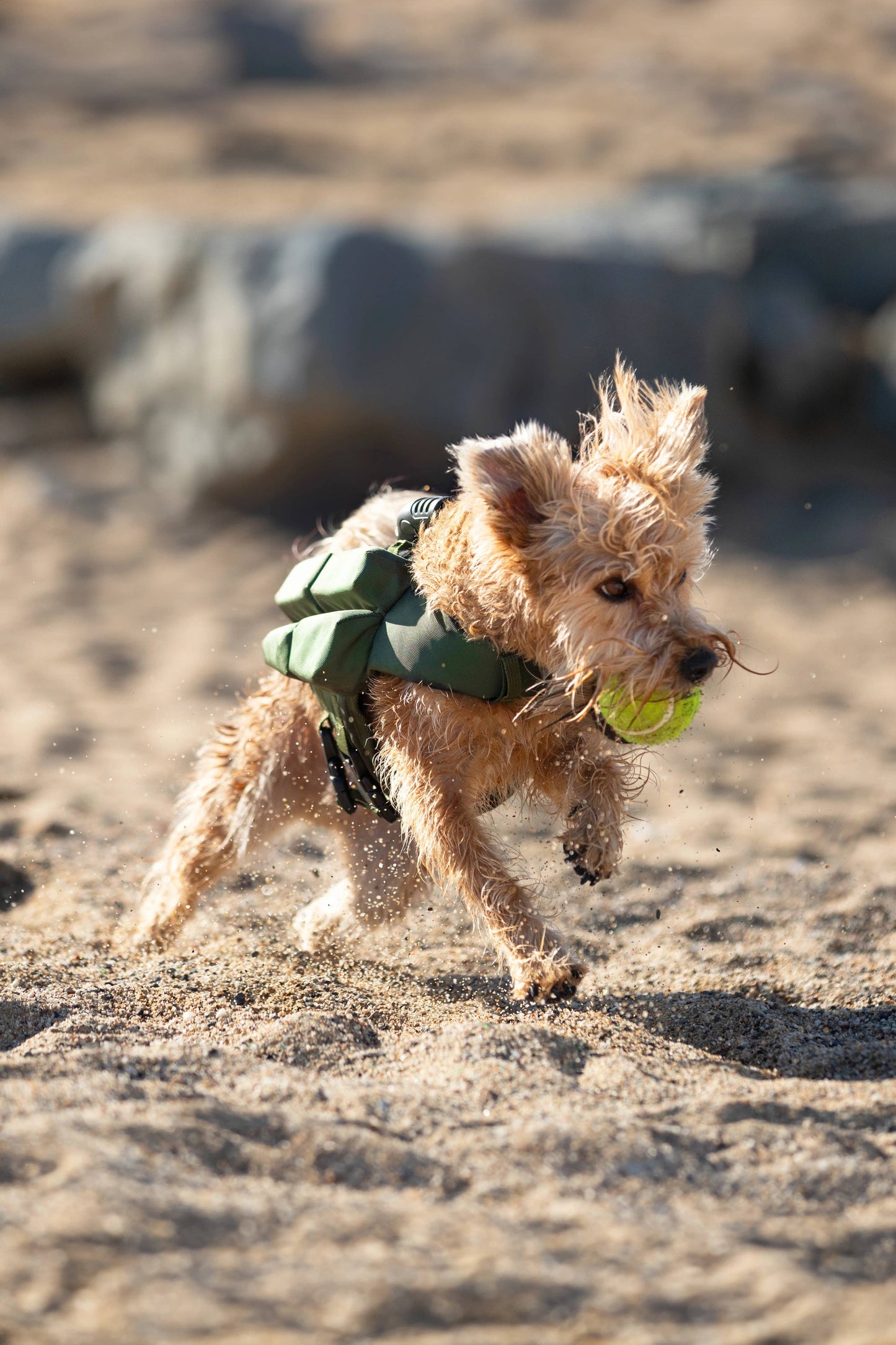 NOAH AND PAW LLC - Human Standards Dog Lifejacket Design with 4x Foam Support for Max Floating - Green