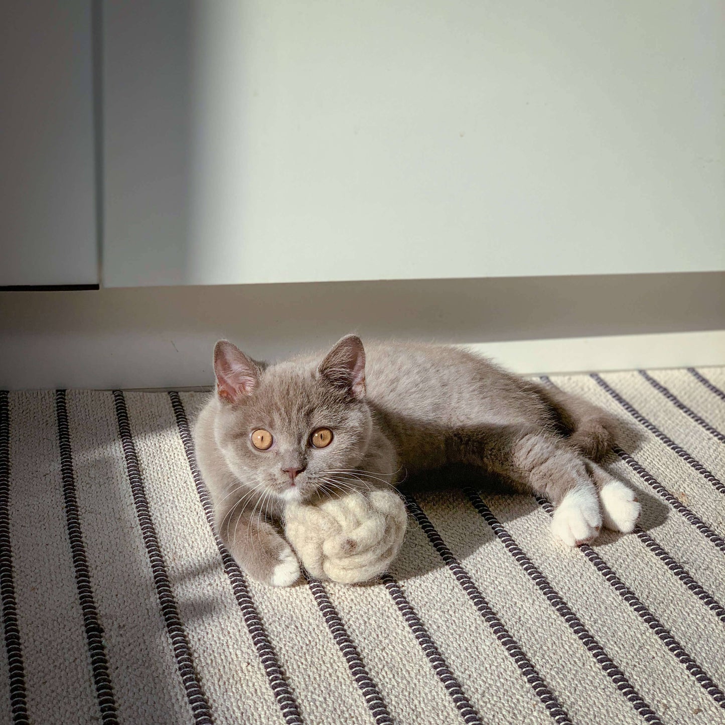The Catery - Lobby cue ball