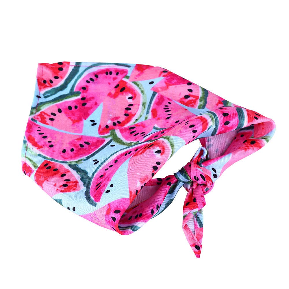 Cheerhunting - Furbud - Summer Pet Bandana