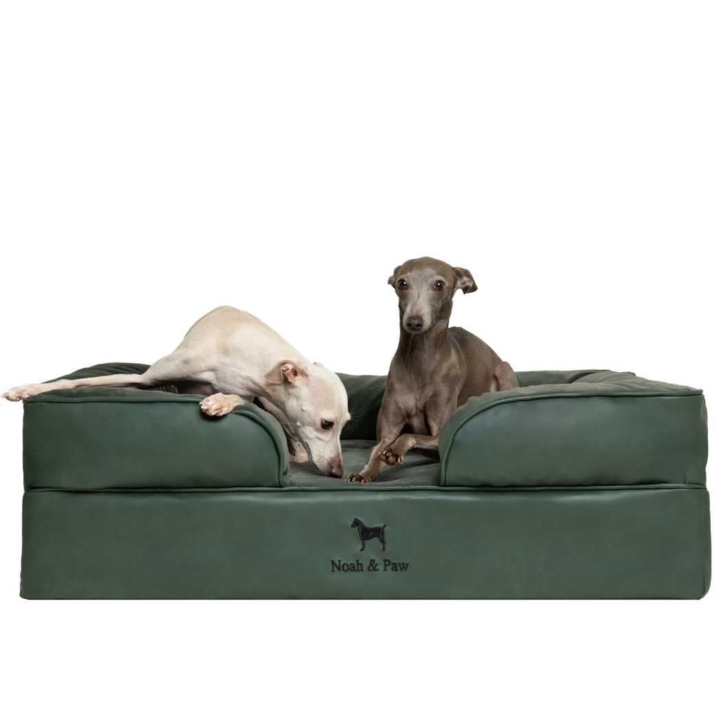 NOAH AND PAW LLC - Faux Leather, Orthopedic Pet Bed, Eggshell Memory Foam, Infused with Cooling Gel, Sofa Style