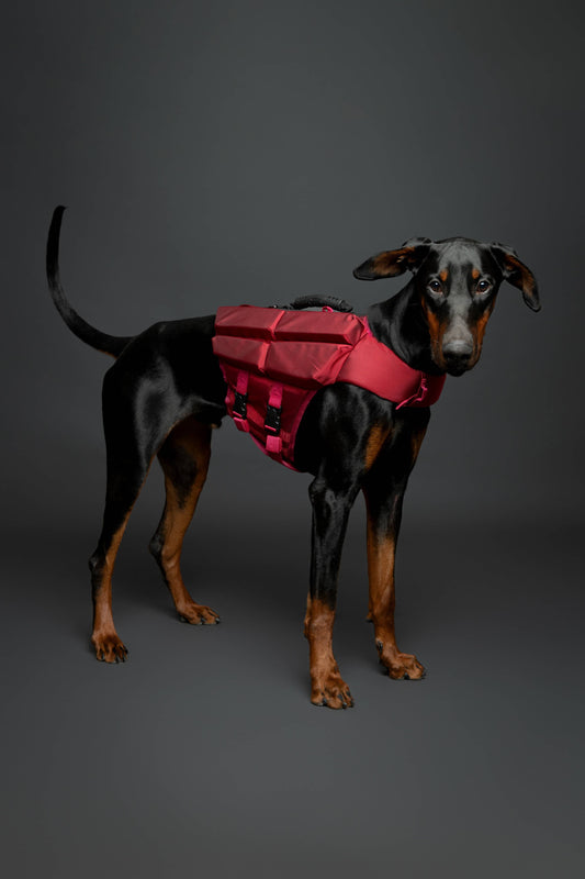 NOAH AND PAW LLC - Human Standards Dog Lifejacket Design with 4x Foam Support for Max Floating - Red