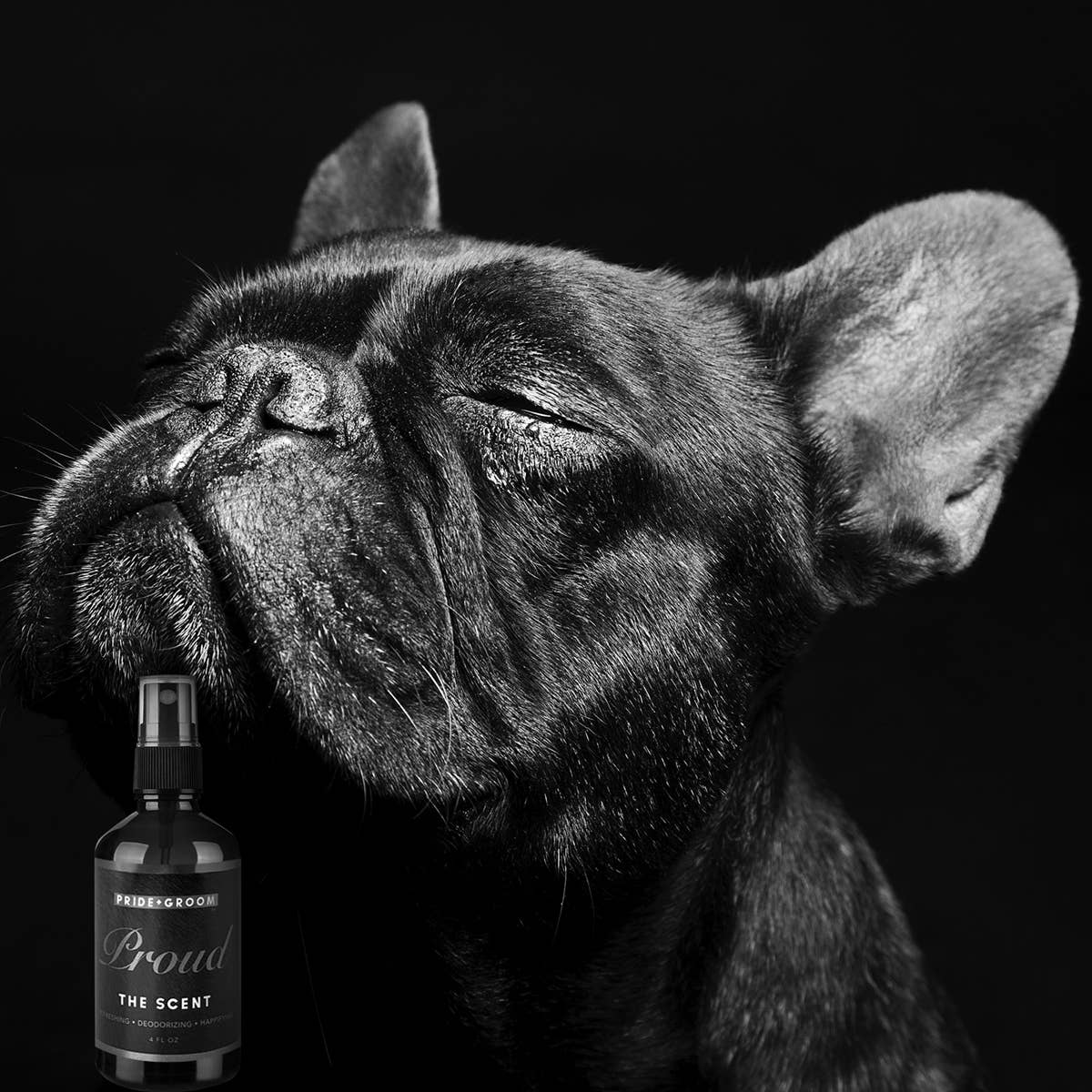 PRIDE+GROOM - PROUD | THE SCENT