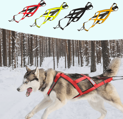 VPETBR Dog Sled Harness Yellow