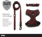 Silver Paw 3 in 1 Dog leash, harness & collar set